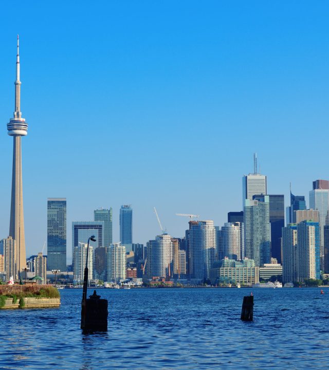 toronto skyline from park